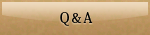 Q&A